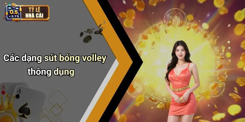 Các dạng sút bóng volley thông dụng