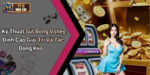 Kỹ Thuật Sút Bóng Volley: Đỉnh Cao Giải Trí Và Tác Động Kèo