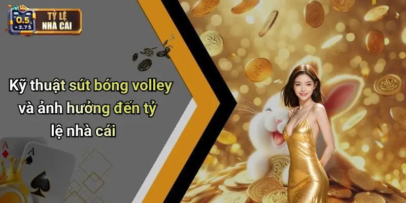Kỹ thuật sút bóng volley và ảnh hưởng đến tỷ lệ nhà cái