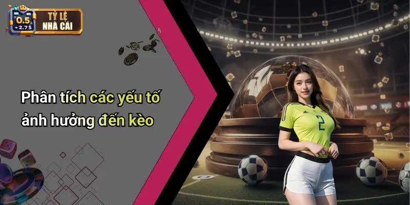 Phân tích các yếu tố ảnh hưởng đến kèo