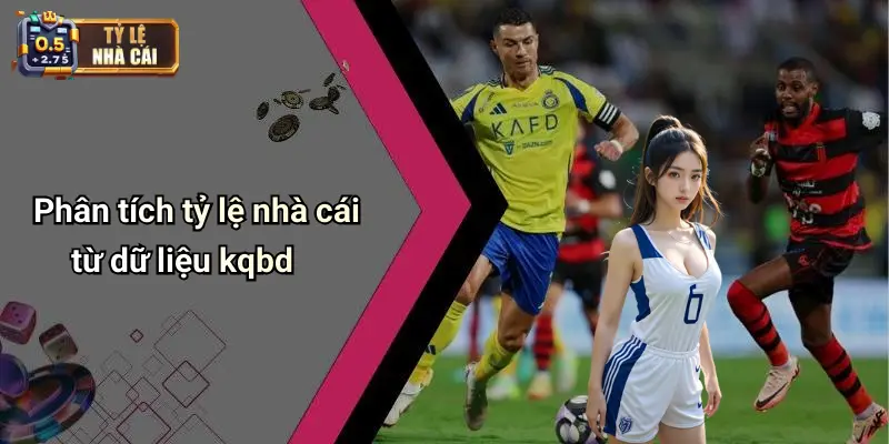 KQBD 30 Phân tích tỷ lệ nhà cái từ dữ liệu kqbd