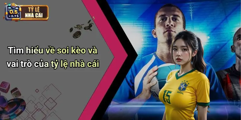 Tìm hiểu về soi kèo và vai trò của tỷ lệ nhà cái