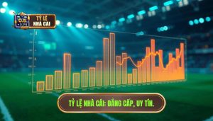 Cách tỷ lệ nhà cái thay đổi trong trận đấu bóng đá: Phân tích chuyên sâu từ góc nhìn nhà nghề